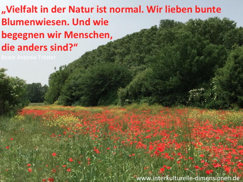 2016-04-10 Blumenwiese.25