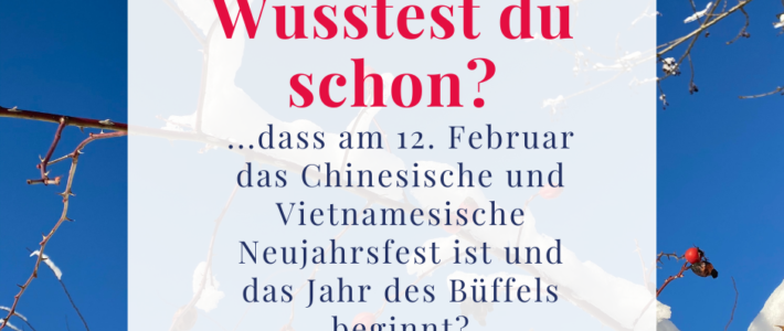 Chinesisches Neujahrsfest